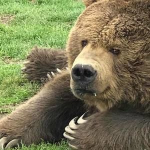 Meet your Posher, Sherry